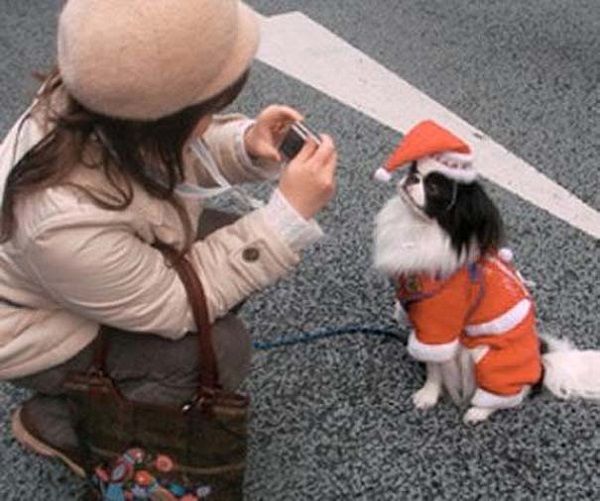 Κι όμως κάποιοι ανυπομονούν να τελειώσουν οι γιορτές! (φωτογραφίες)