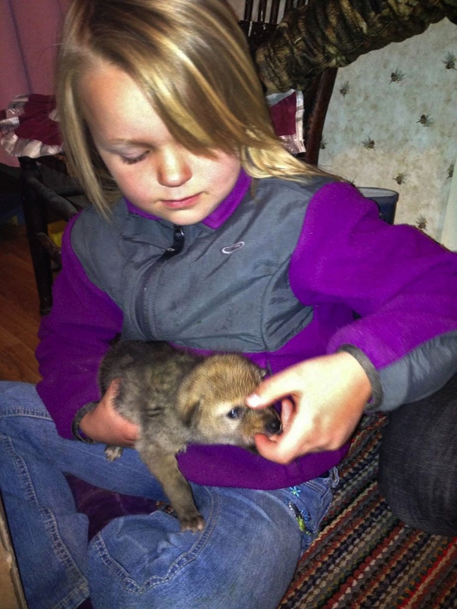 Το 8χρονο κορίτσι και το κογιότ έγιναν οι καλύτεροι φίλοι! (φωτογραφίες)