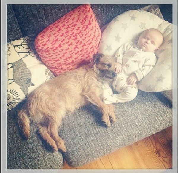 Το μωρό και ο σκύλος που έγιναν οι καλύτεροι φίλοι! (εικόνες+βίντεο)