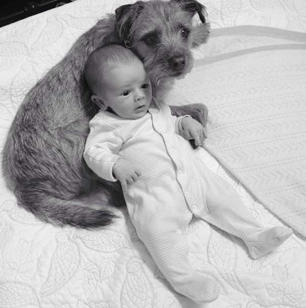 Το μωρό και ο σκύλος που έγιναν οι καλύτεροι φίλοι! (εικόνες+βίντεο)