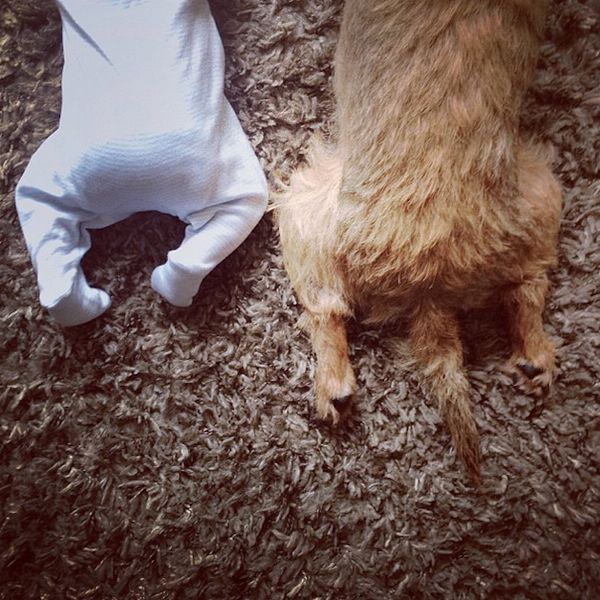 Το μωρό και ο σκύλος που έγιναν οι καλύτεροι φίλοι! (εικόνες+βίντεο)