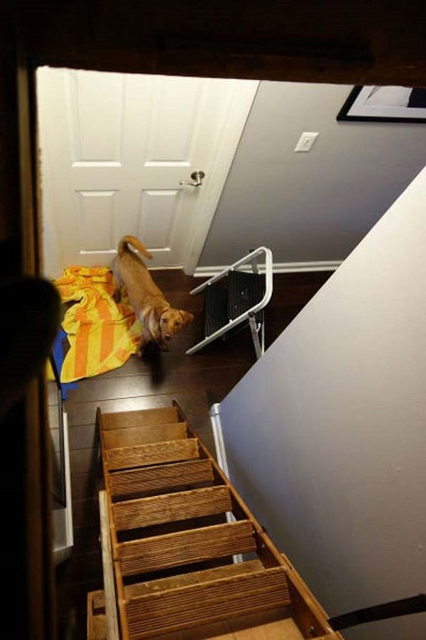 «Του έφερε τον ουρανό με τ' άστρα»! Ο μπαμπάς που κατασκεύασε αστέρια για το μωρό του! (εικόνες)