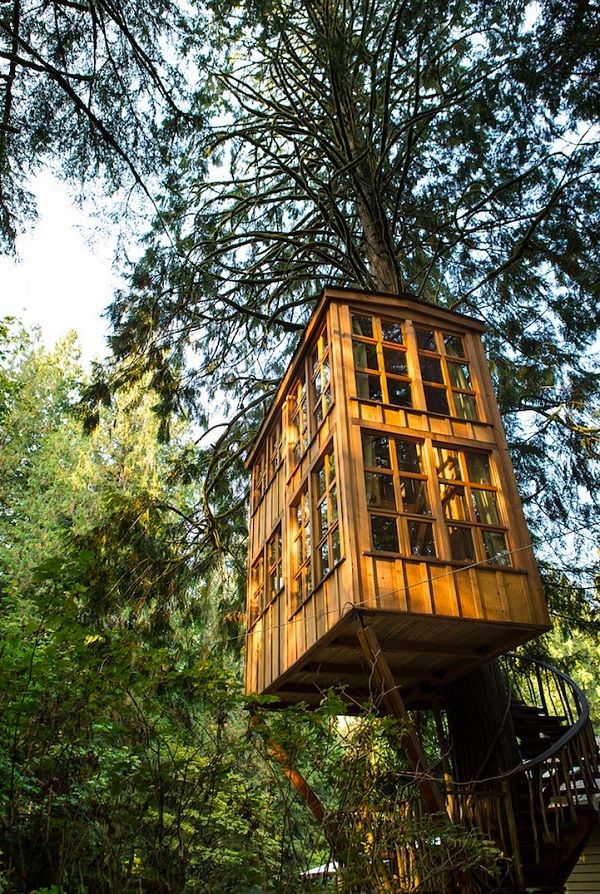 Μοναδικό θέρετρο! Δεντρόσπιτα βγαλμένα από παραμύθι! (εικόνες)