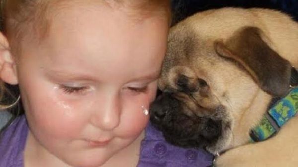 Ξάντερ, το τυφλό σκυλάκι που έχει αφιερώσει τη ζωή του στα κακοποιημένα παιδιά (εικόνες)