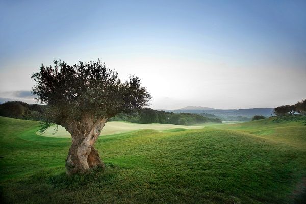Υποδεχθείτε την άνοιξη στο The Westin Resort Costa Navarino! Μοναδικές προτάσεις για το τριήμερο της Καθαράς Δευτέρας