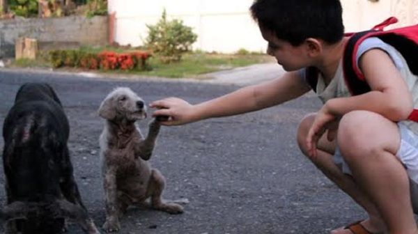 Πατέρας ανακάλυψε το μυστικό του γιου του και... (εικόνες)