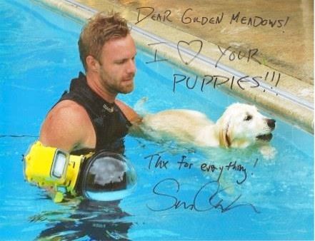 «Υποβρύχια κουταβάκια»: Ένα φωτογραφικό πρότζεκτ που θα σας ενθουσιάσει!