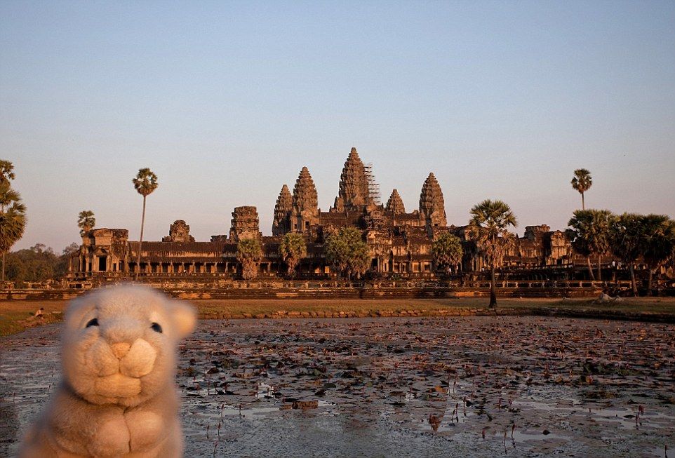 Λούτρινο κουνελάκι γυρίζει τον κόσμο και βγάζει... selfies! (φωτογραφίες)