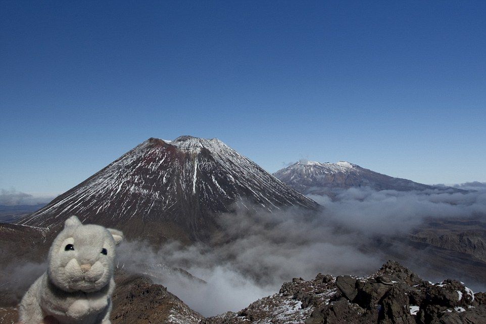 Λούτρινο κουνελάκι γυρίζει τον κόσμο και βγάζει... selfies! (φωτογραφίες)
