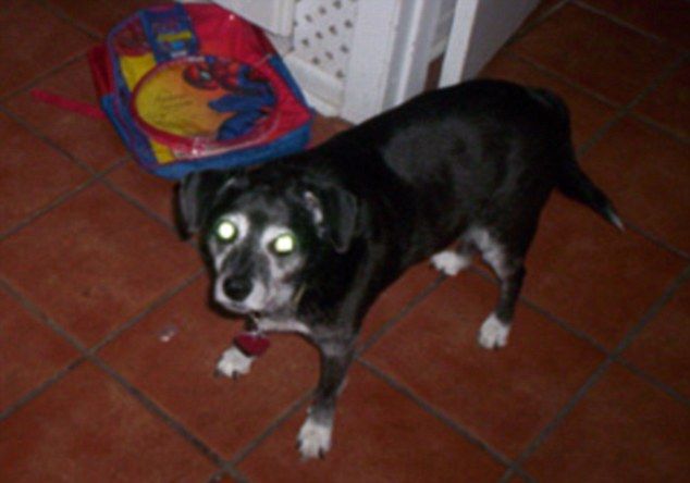 Όταν η 4χρονη Μέρεντιθ, έστελνε γράμμα στο Θεό, κανείς δεν περίμενε ότι θα έπαιρνε απάντηση!