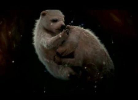 Ζώα μέσα στη μήτρα! (φωτογραφίες & βίντεο)