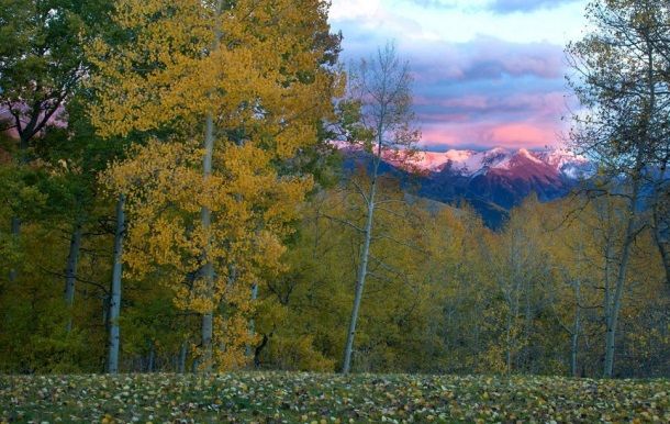 Ο Τομ Κρουζ πουλάει το σπίτι του για 59 εκατομμύρια δολάρια. (εικόνες)