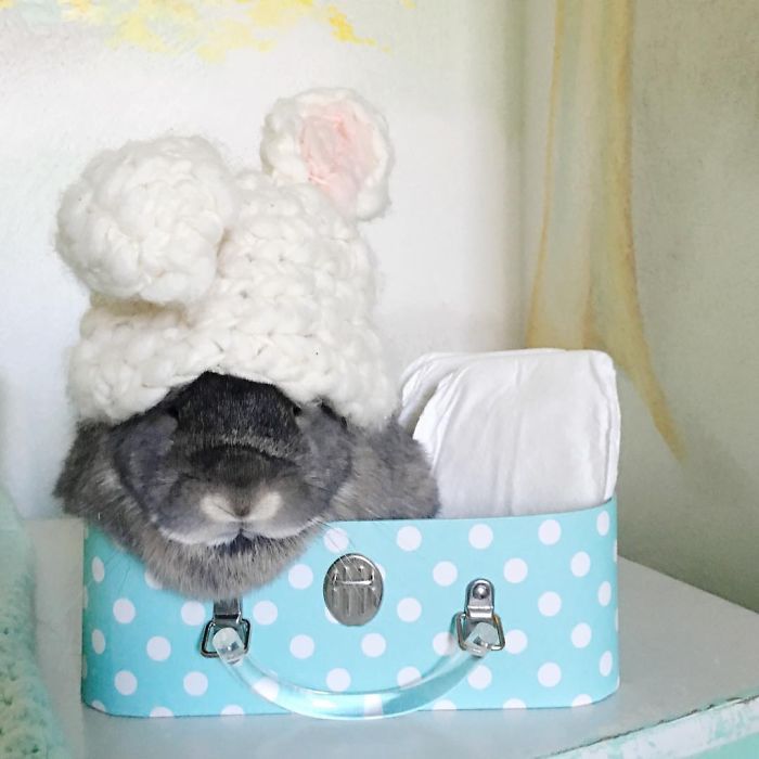 Ό,τι πιο γλυκό έχετε δει. Νεογέννητο μωράκι παρέα με το κουνελάκι του! (εικόνες)