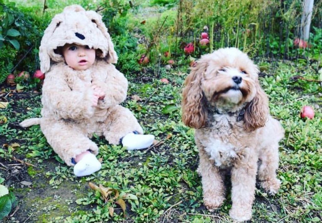 Αυτές είναι οι πιο ασυνήθιστες και αστείες φωτογραφίες με ζώα που έχετε δει