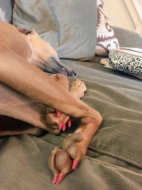 Η ζωή στο σπίτι δεν είναι ποτέ βαρετή με τα παιδιά - Είκοσι φωτογραφίες μας το υπενθυμίζουν