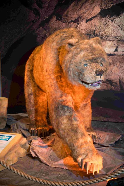 Δελτίο τύπου: Ελληνικός Κόσμος: Ο παλαιοντολόγος Γιώργος Λύρας  μιλάει για  την Εποχή των Παγετώνων