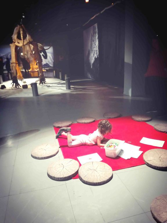 Δελτίο τύπου: Ελληνικός Κόσμος: Ο παλαιοντολόγος Γιώργος Λύρας  μιλάει για  την Εποχή των Παγετώνων