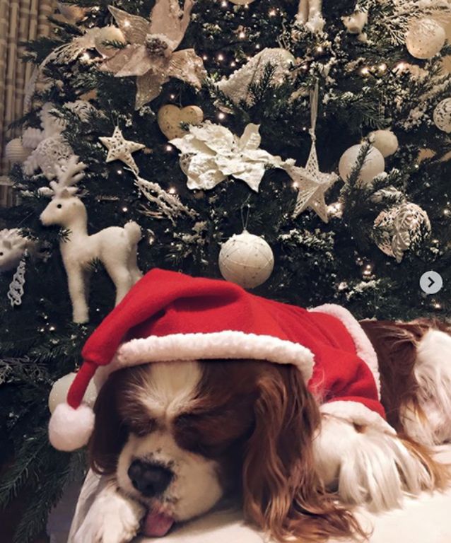 Τατιάνα Στεφανίδου