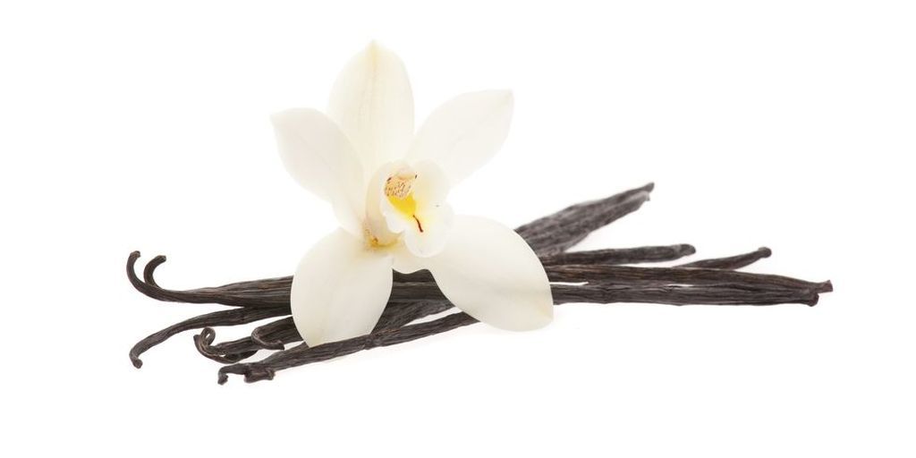 Βανίλια - 

Η βανίλια όχι μόνο μυρίζει σέξι, αλλά σύμφωνα με την δρ Hoppe, η βανίλια έχει χαλαρωτικές ιδιότητες.