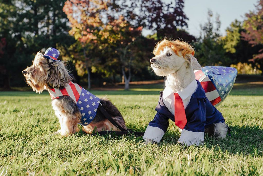 Οι φωτογραφίες αυτής της μικρής κάνουν το γύρο του διαδικτύου και αυτός είναι ο λόγος (pics)