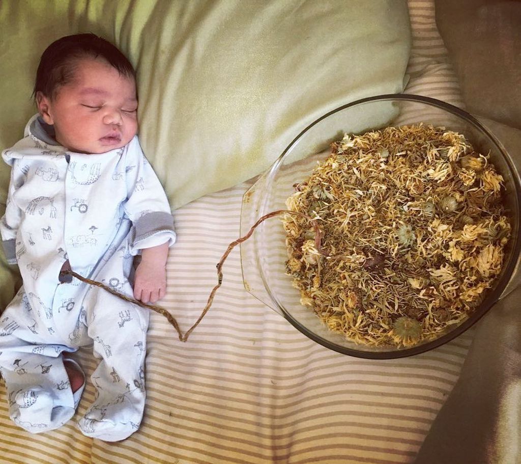 Τοκετός του λωτού: 20 φωτογραφίες που θα σας αφήσουν άφωνους (pics)