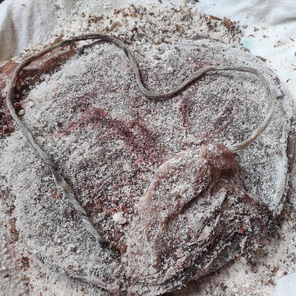 Τοκετός του λωτού: 20 φωτογραφίες που θα σας αφήσουν άφωνους (pics)