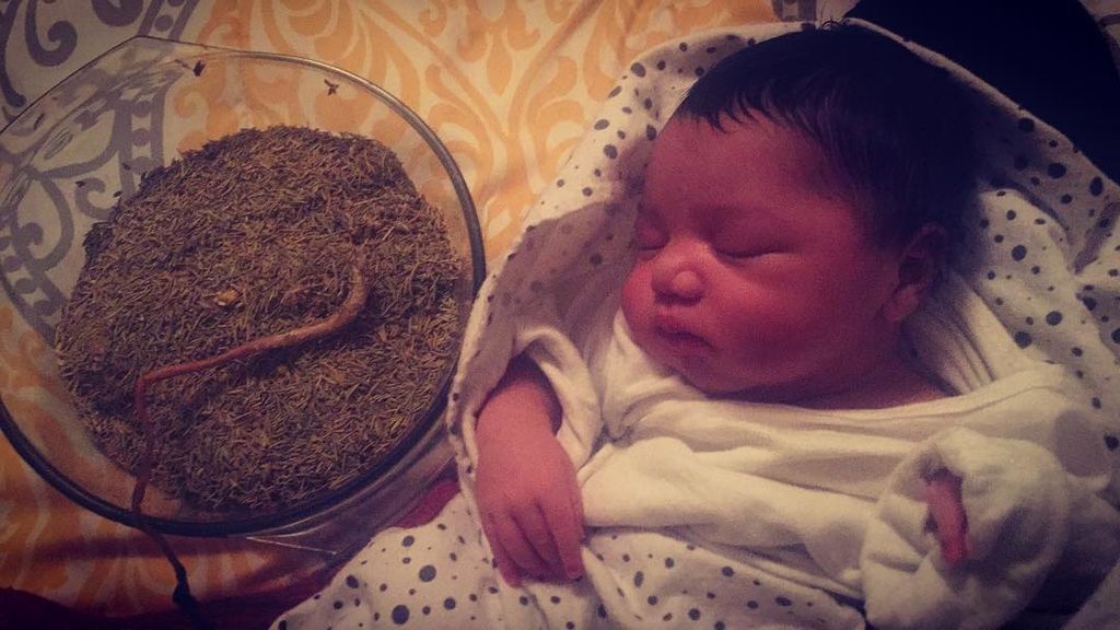 Τοκετός του λωτού: 20 φωτογραφίες που θα σας αφήσουν άφωνους (pics)