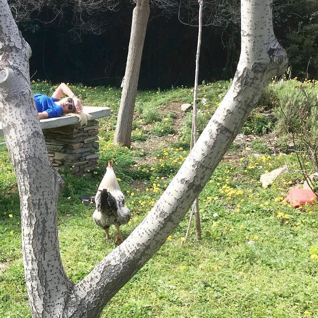 Ελένη Μενεγάκη: Υπέροχες φωτογραφίες της μικρής Μαρίνας