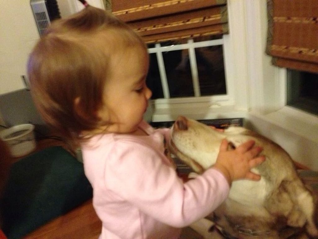 Τριάντα μοναδικές φωτογραφίες με ζώα και παιδιά σε τρυφερές στιγμές (pics)