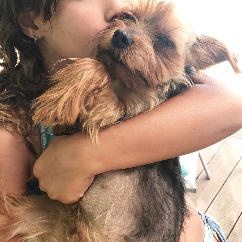 Το σημείωμα που άφησε στην πόρτα η κόρη της Μαρίας Κορινθίου μετά τον τσακωμό τους (pic)