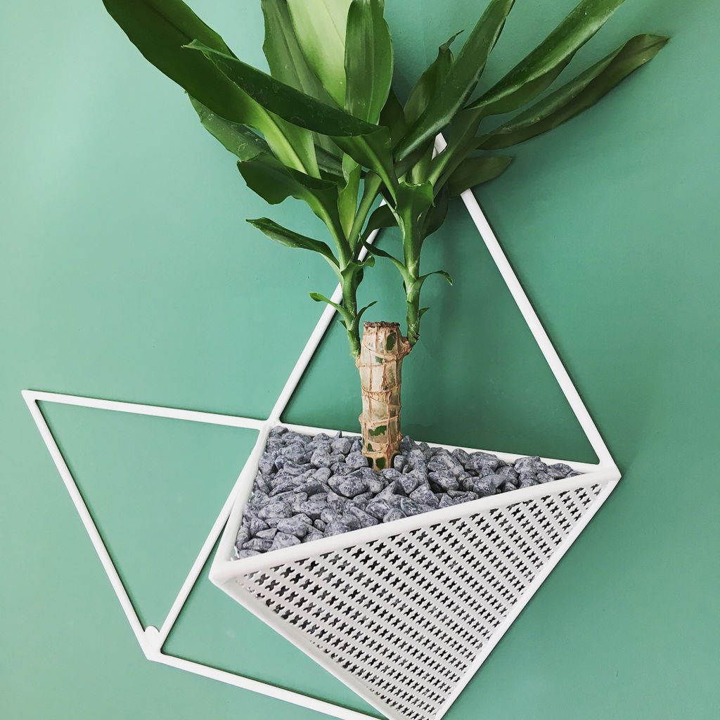 Απίθανες ιδέες για να κρεμάσετε τα φυτά στους τοίχους του σπιτιού σας