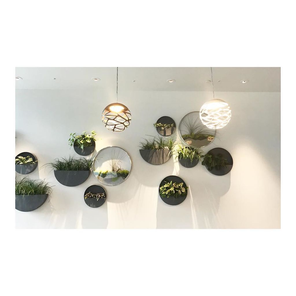 Απίθανες ιδέες για να κρεμάσετε τα φυτά στους τοίχους του σπιτιού σας