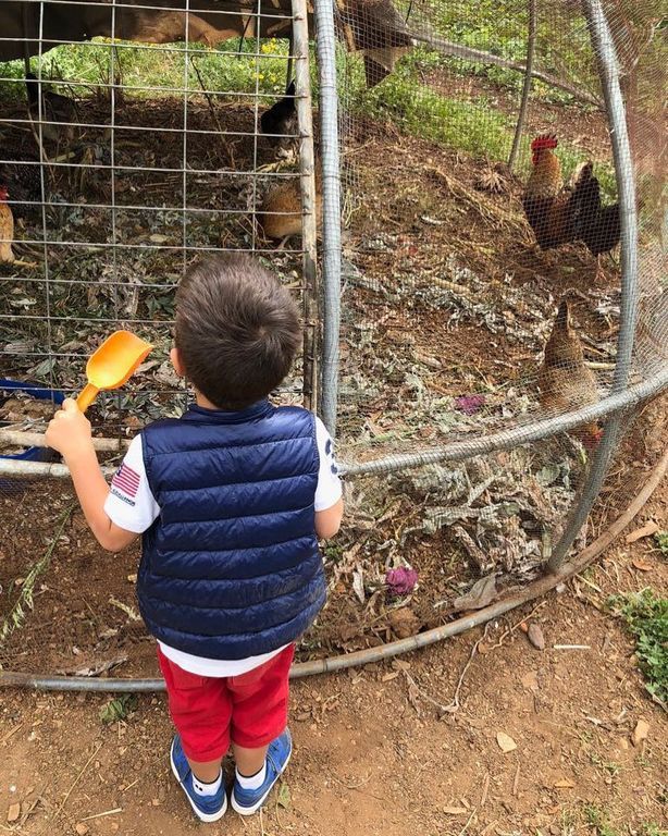 Φαίη Σκορδά - Γιώργος Λιάγκας: Ο μικρός γιος τους έχει γενέθλια κι αυτές είναι οι φωτό που ανέβασαν