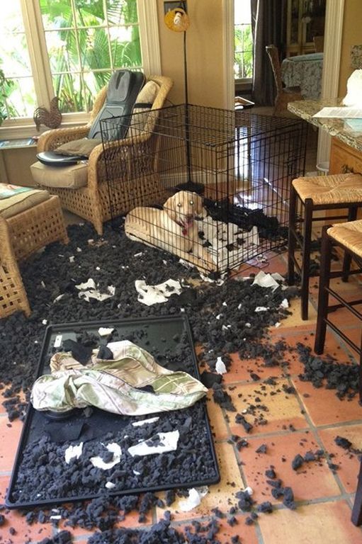 Είχατε μια άσχημη μέρα; Υπάρχουν και χειρότερα (pics)