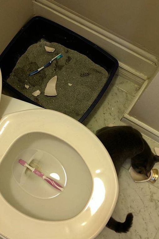 Είχατε μια άσχημη μέρα; Υπάρχουν και χειρότερα (pics)