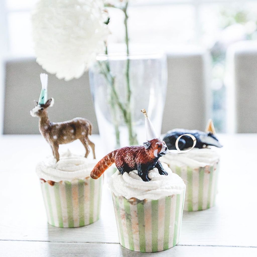 Είναι τα πρώτα του γενέθλια; Ορίστε ιδέες για πάρτι με θέμα τα ζώα