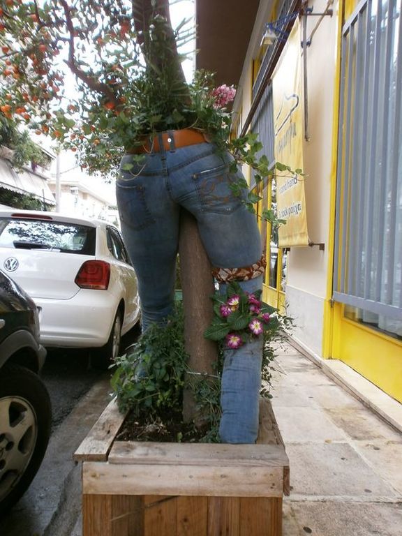 Η νέα τάση στη διακόσμηση με φυτά θα σας αφήσει άφωνους (pics)