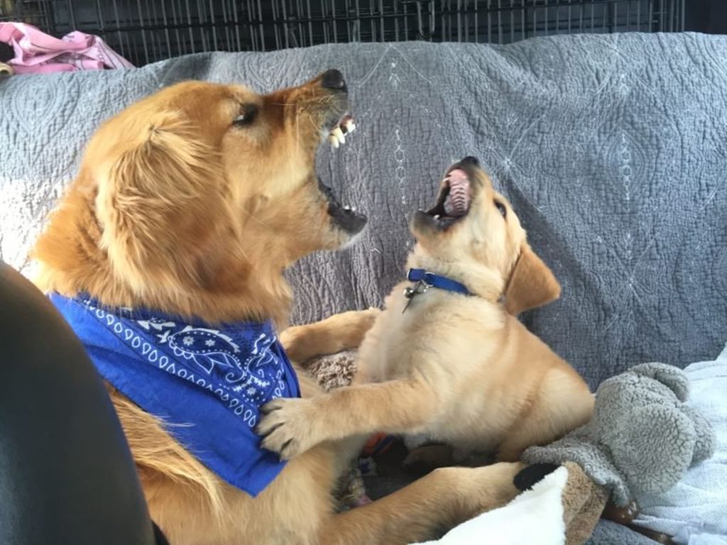 Αστείες φωτογραφίες που θα σας φτιάξουν τη διάθεση