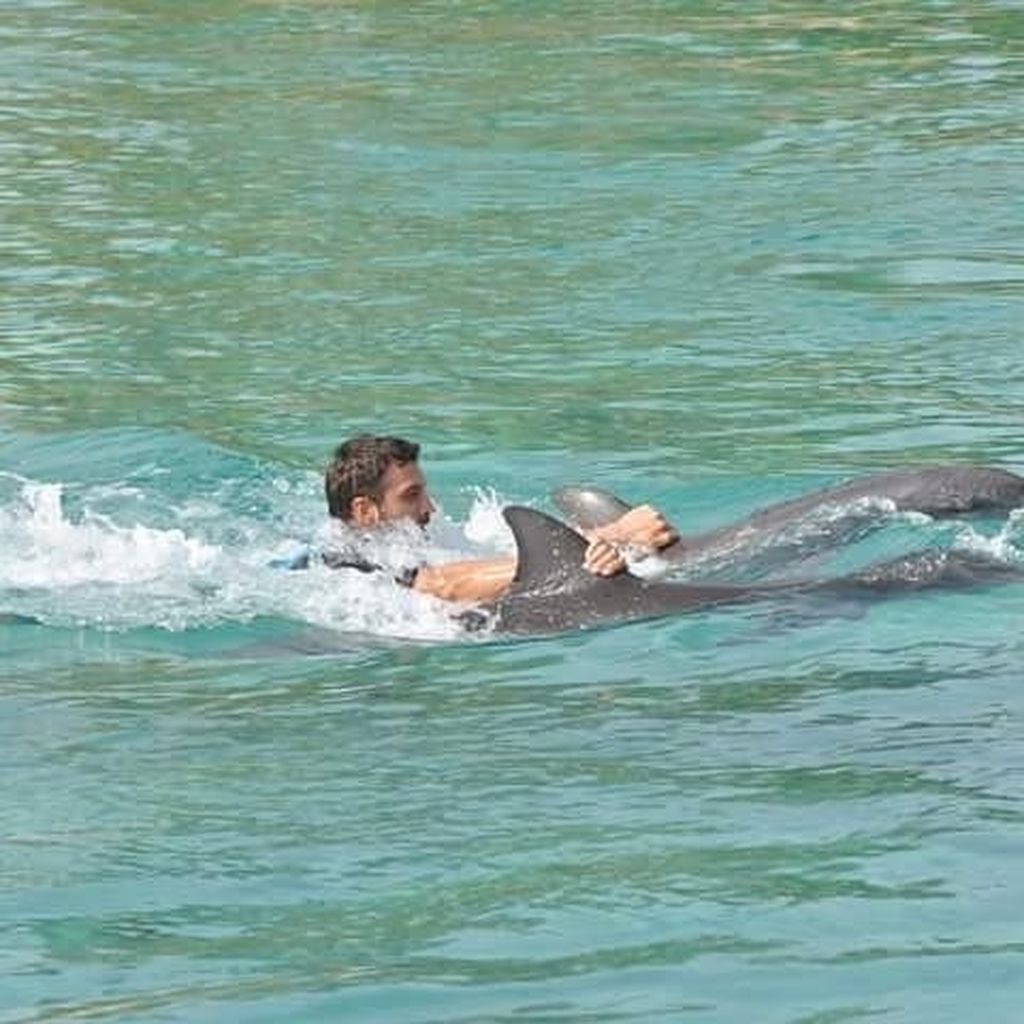 Ένας πρώην Survivor θέλει να γίνει πατέρας και το δηλώνει