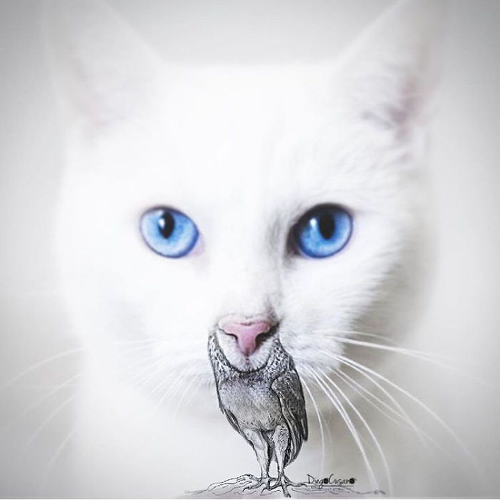 Καλλιτέχνης μετατρέπει καθημερινά αντικείμενα και τρόφιμα σε φανταστικές δημιουργίες (pics)