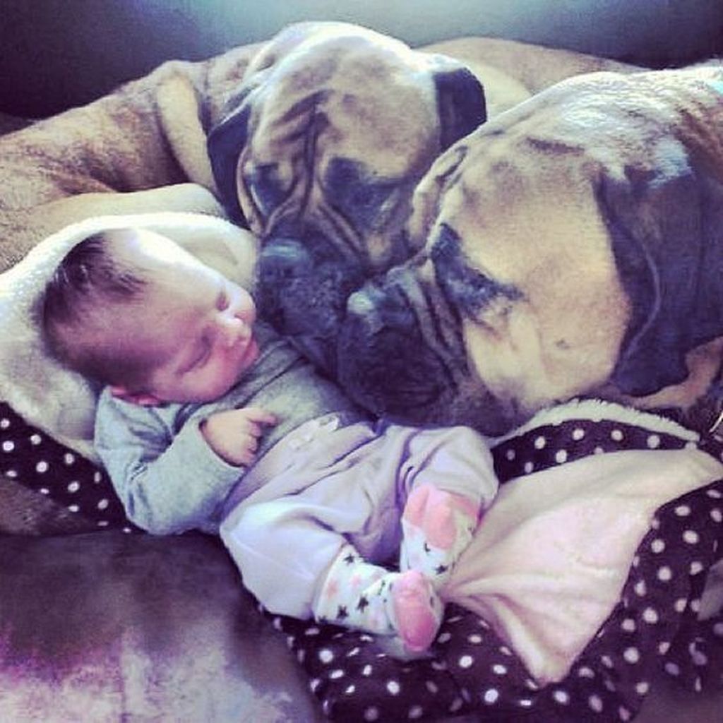 Τρυφερές στιγμές που αποτυπώνουν τα μωράκια με τα κατοικίδια τους (pics)