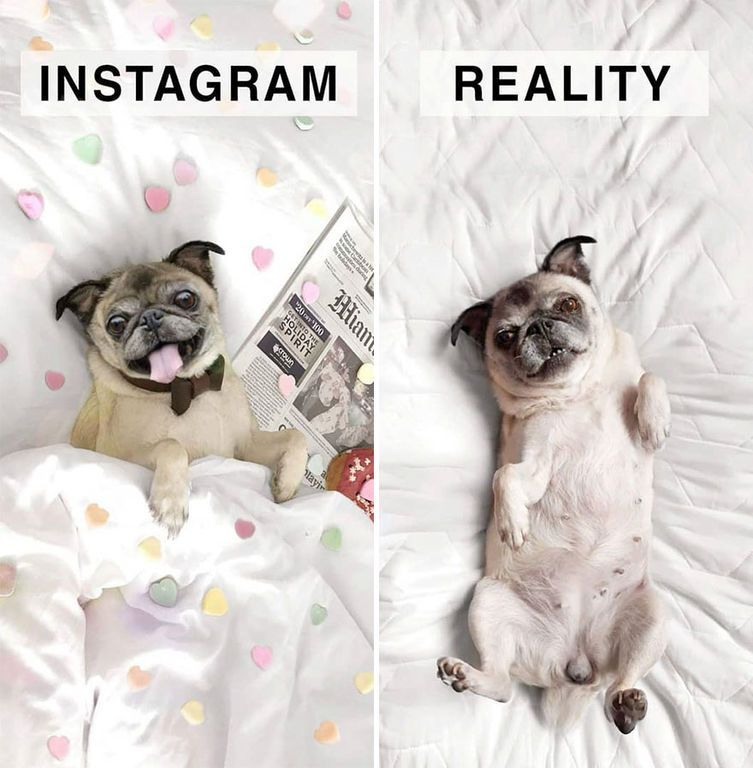 Instagram Vs Πραγματικότητα: 30 φωτογραφίες που πρέπει να δείτε (pics) 