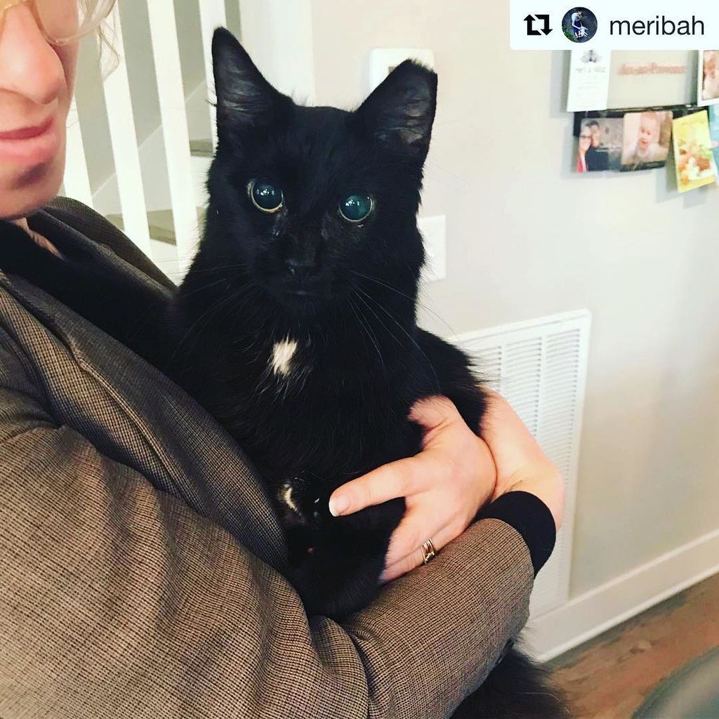 Πώς είναι η ζωή με παιδιά, γάτα, σκύλο και έναν διάσημο άνδρα; Κάπως έτσι (pics)