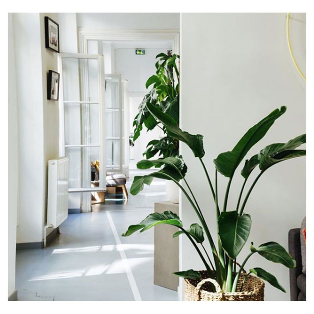 Διακόσμηση σπιτιού: Είκοσι όμορφες και πρωτότυπες ιδέες για να ανανεώσεις το χώρο σου (pics)