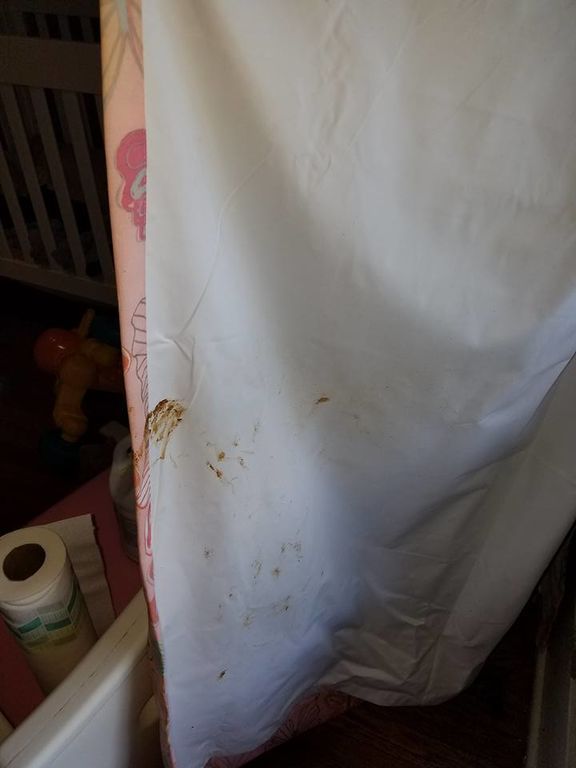 Ναι, ναι, αυτή η φωτογραφία δείχνει αυτό που φαντάζεστε - Ο χειρότερος ζωντανός εφιάλτης κάθε γονιού