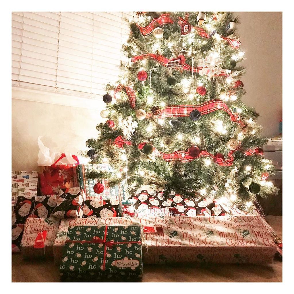 Στολισμένα χριστουγεννιάτικα δέντρα για κάθε γούστο (pics) 