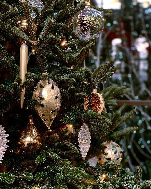 Στολισμένα χριστουγεννιάτικα δέντρα για κάθε γούστο (pics) 