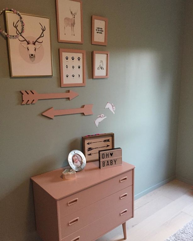 Βρεφικά δωμάτια για κορίτσια: 15 πρωτότυπες ιδέες διακόσμησης (pics) 