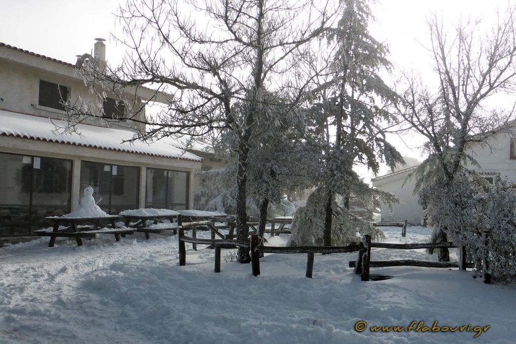 Αυτό το Σαββατοκύριακο πάμε βόλτα στο καταφύγιο Φλαμπούρι (pics)