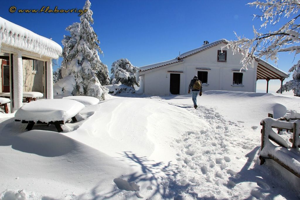 Αυτό το Σαββατοκύριακο πάμε βόλτα στο καταφύγιο Φλαμπούρι (pics)